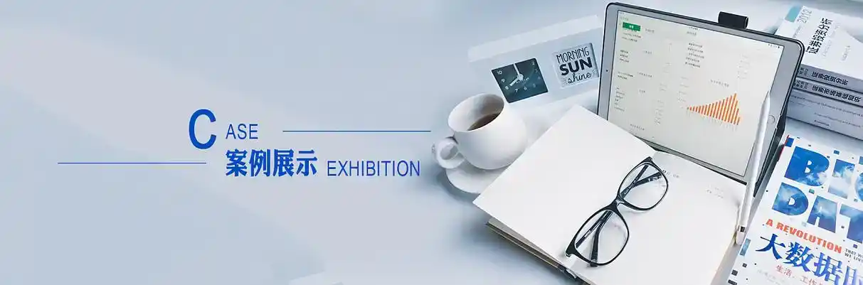 葫芦岛软件开发